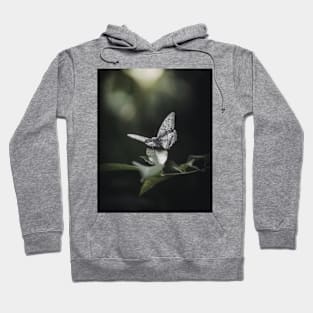 White Butterfly Hoodie